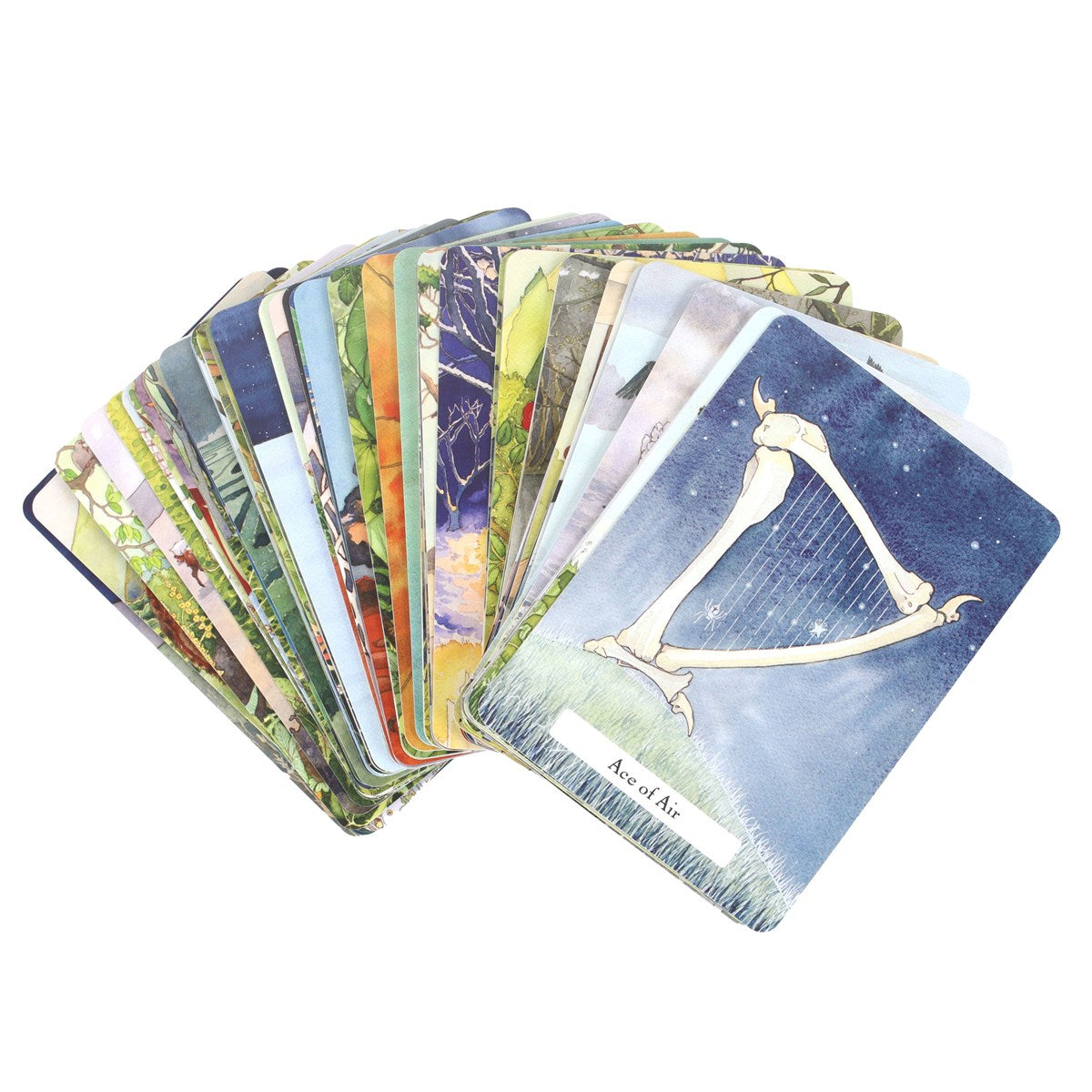 Cărți de tarot "Înțelepciunea Vrăjitoarelor"