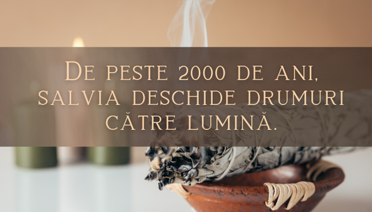 Salvia: Planta Sacră cu o Istorie de Peste 2000 de Ani. Beneficii, Ritualuri și Adevăruri.