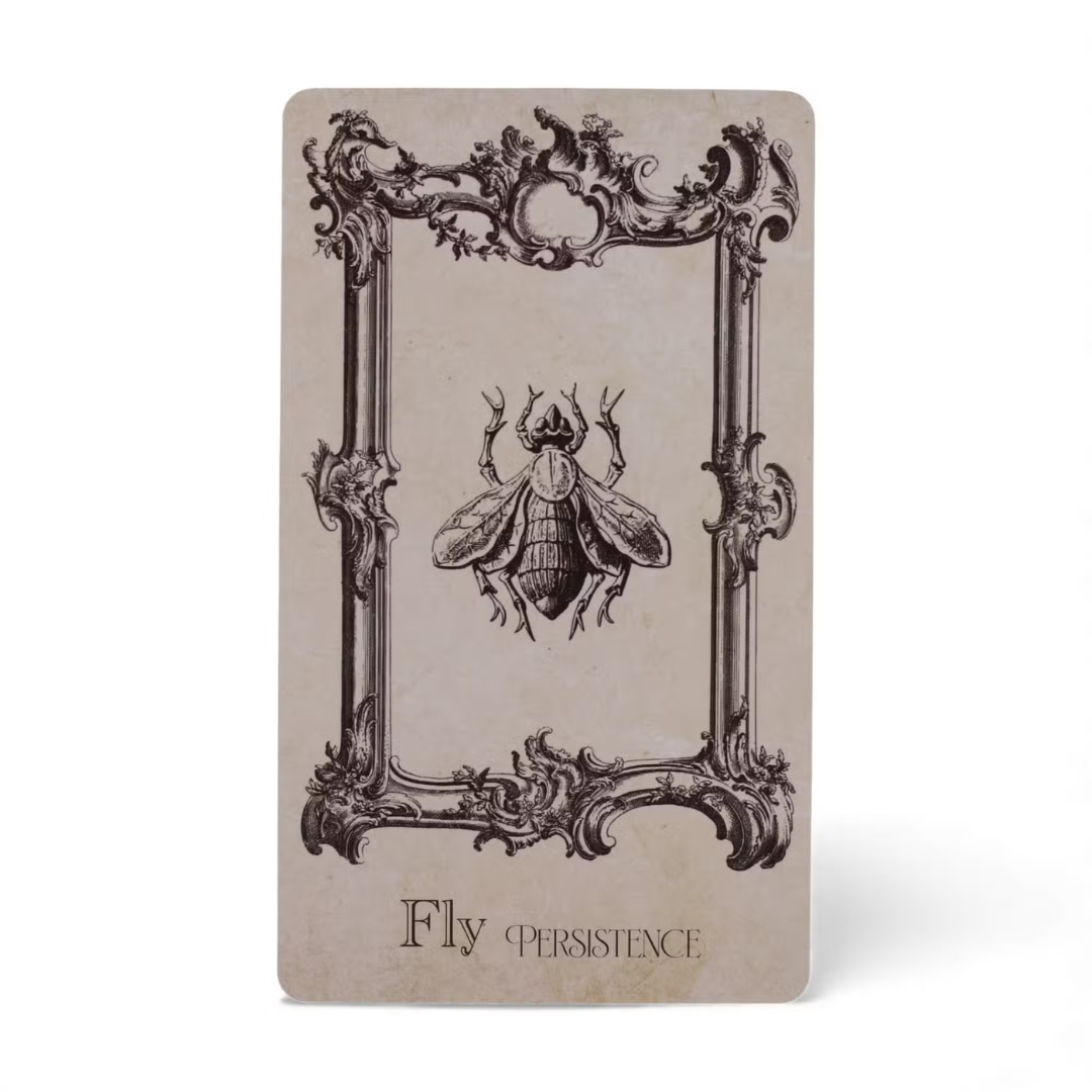 Set de Cărți Oracol Cartea Vrăjilor – 40 cărți cu simboluri mistice