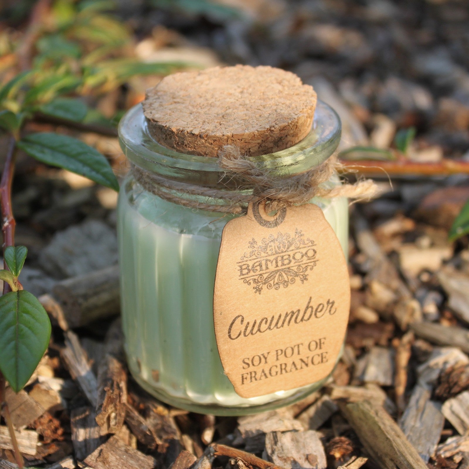 Lumânare parfumată din soia cu aromă de castravete