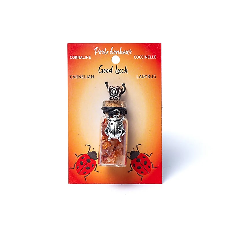 Pandantiv sticluță cu Carneol și buburuză pentru motivație și noroc