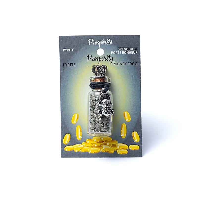 Pandantiv sticluță cu Pirită și broască Feng Shui pentru prosperitate și încredere, cu șnur