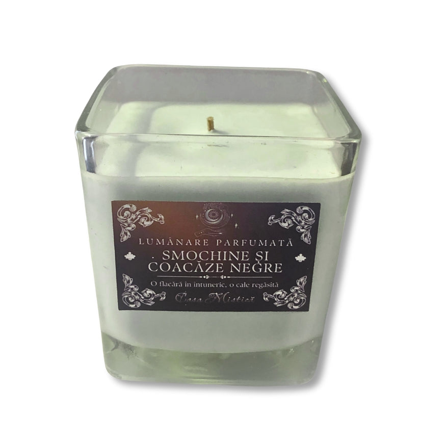 Lumânare naturală din soia în recipient de sticlă reutilizabil cu aromă de smochine și coacăze negre