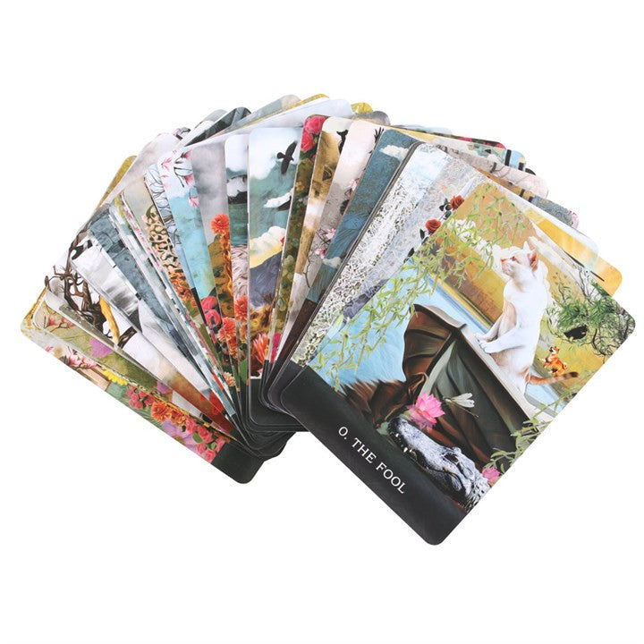 Cărți de tarot - Pisicile curioase ale lui Grimalkin