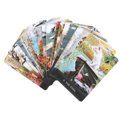 Cărți de tarot - Pisicile curioase ale lui Grimalkin